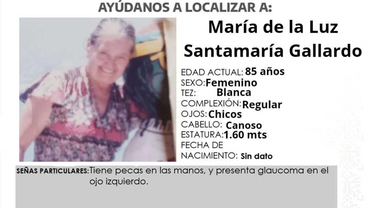 María de la Luz Santamaría