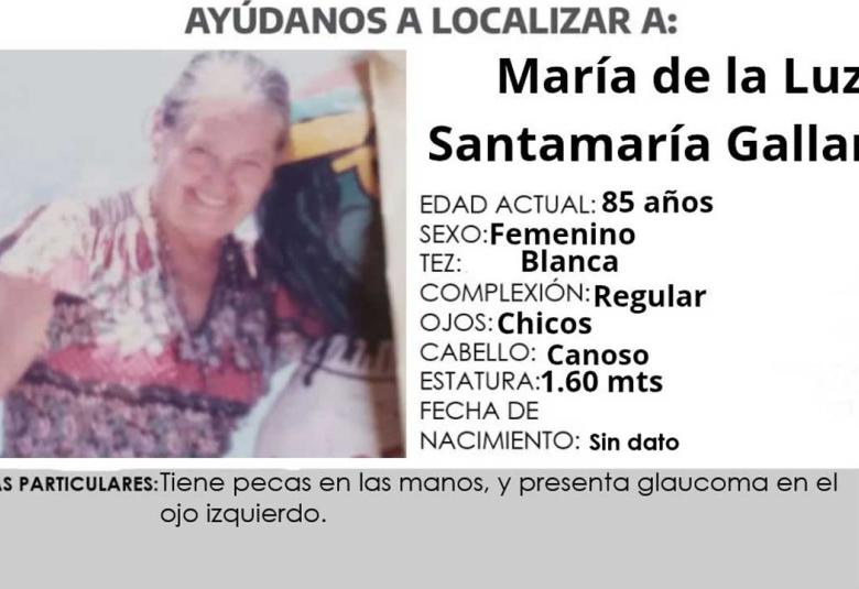 María de la Luz Santamaría